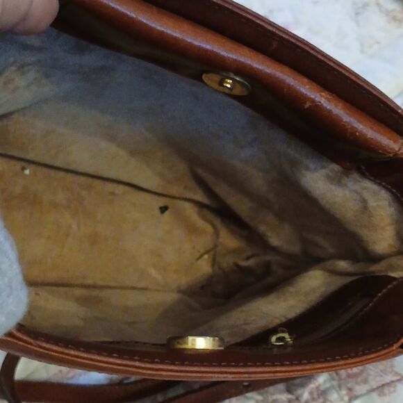BRAHMIN  - Picture 6 of 6